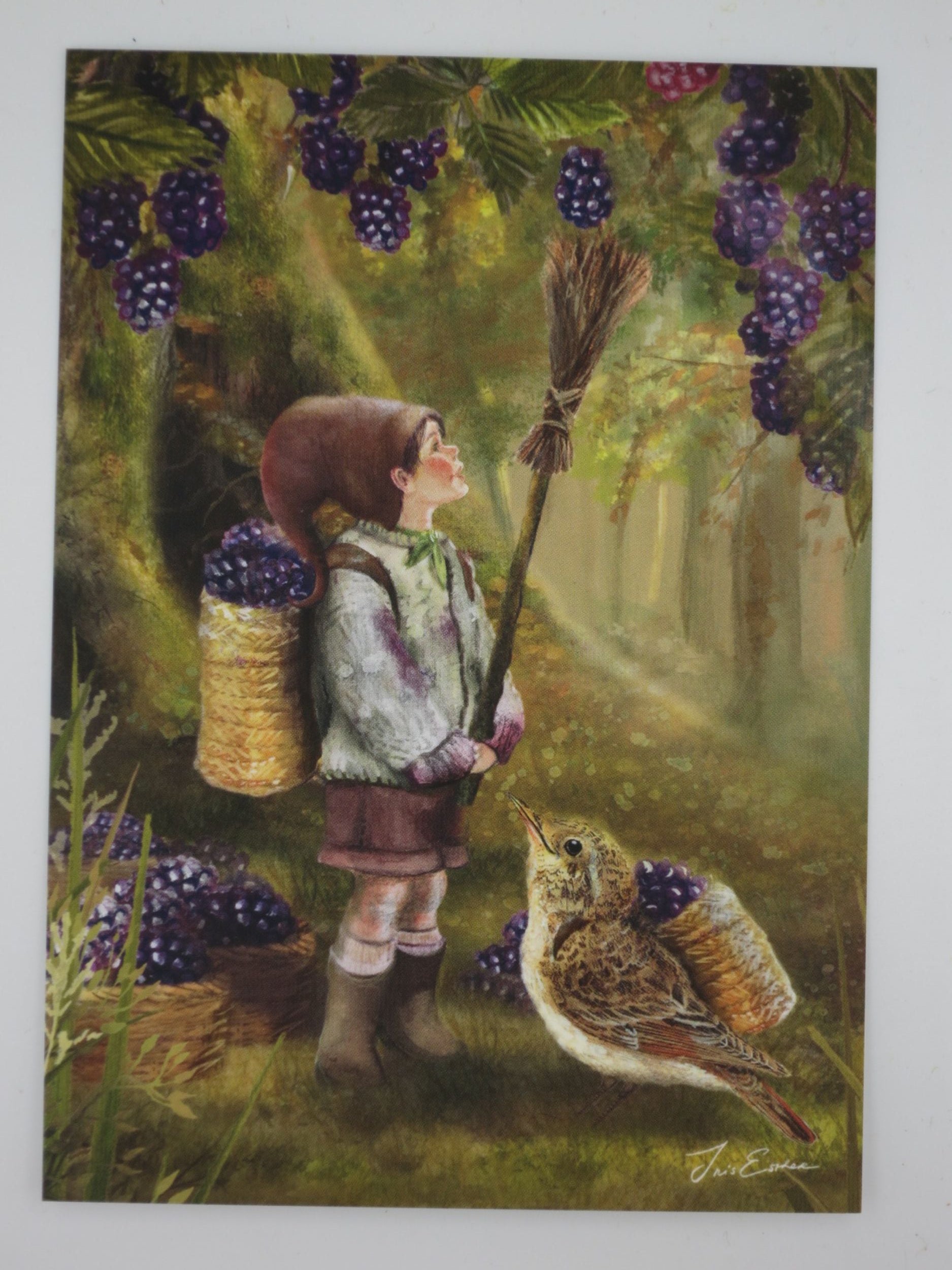 Herbst Postkarte Berry Tale PKH249: Wichteljunge mit Brombeeren und Vogel
Zeichnung von Iris Esther