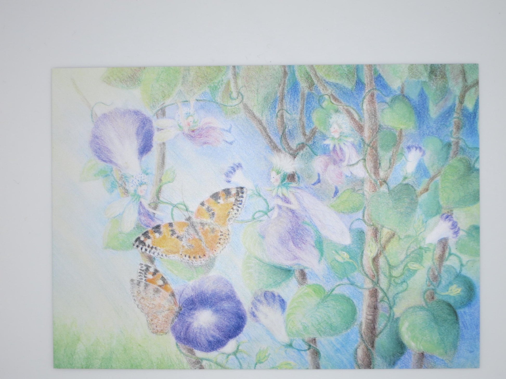 Waldorf Postkarte Bluetezeit von Monika Speck: Kleiner Fuchs Schmetterling auf Trichterbluete