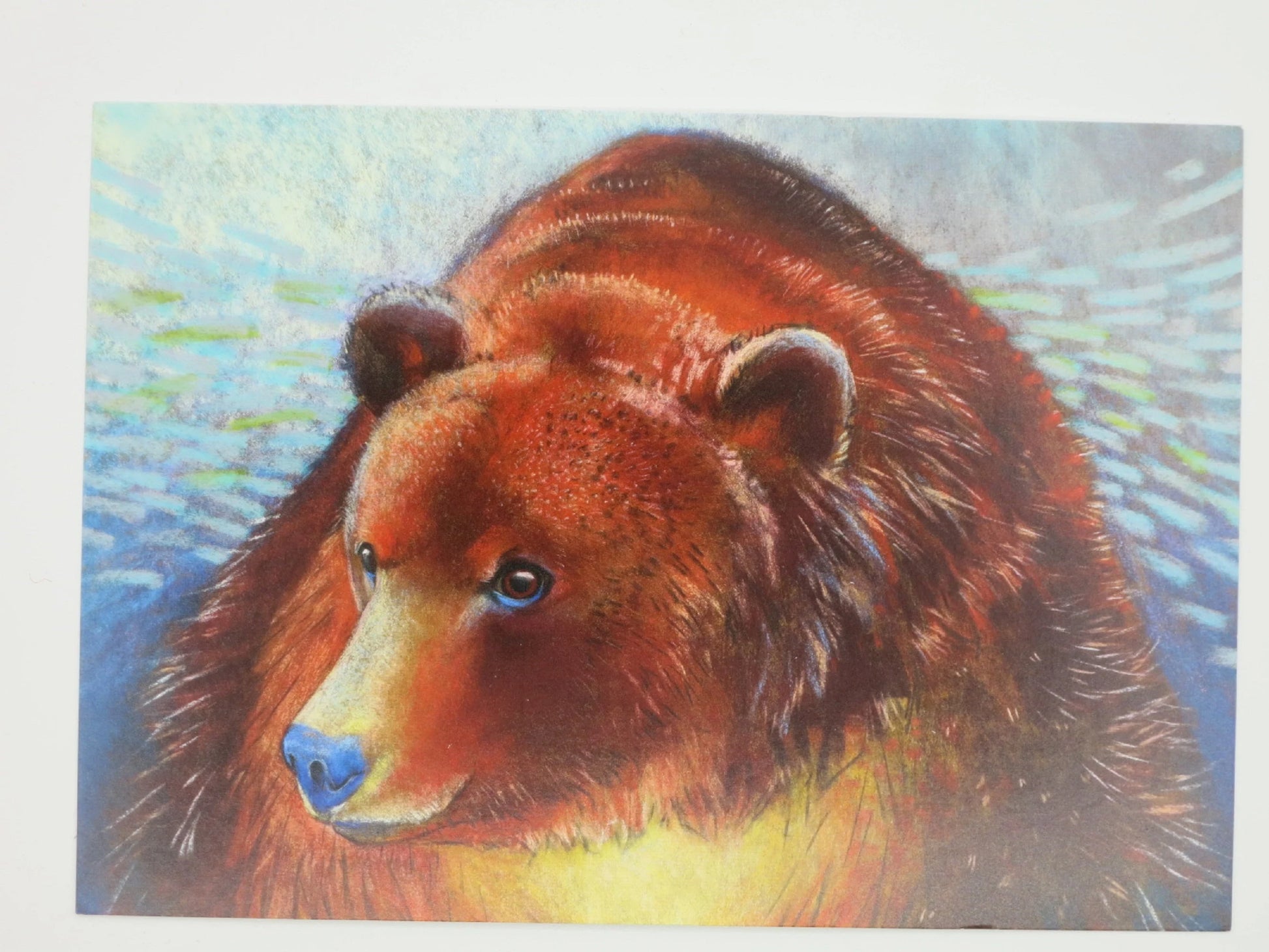 Herbst Postkarte Braunbaer PKHE170: Baerenkopf-Nahaufnahme mit blauer Nase am Wasser, Pastellzeichnung von Loes Botman