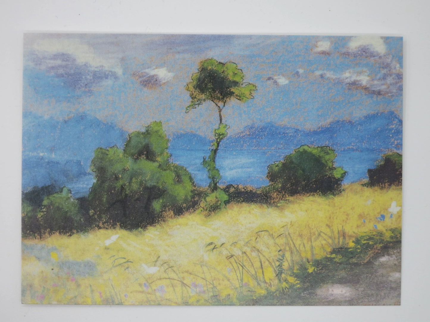 Kunst-Postkarte Der Sommer: gelbe Wiese mit Baum und See in Pastelltechnik, Gemälde von Ernst Kreidolf