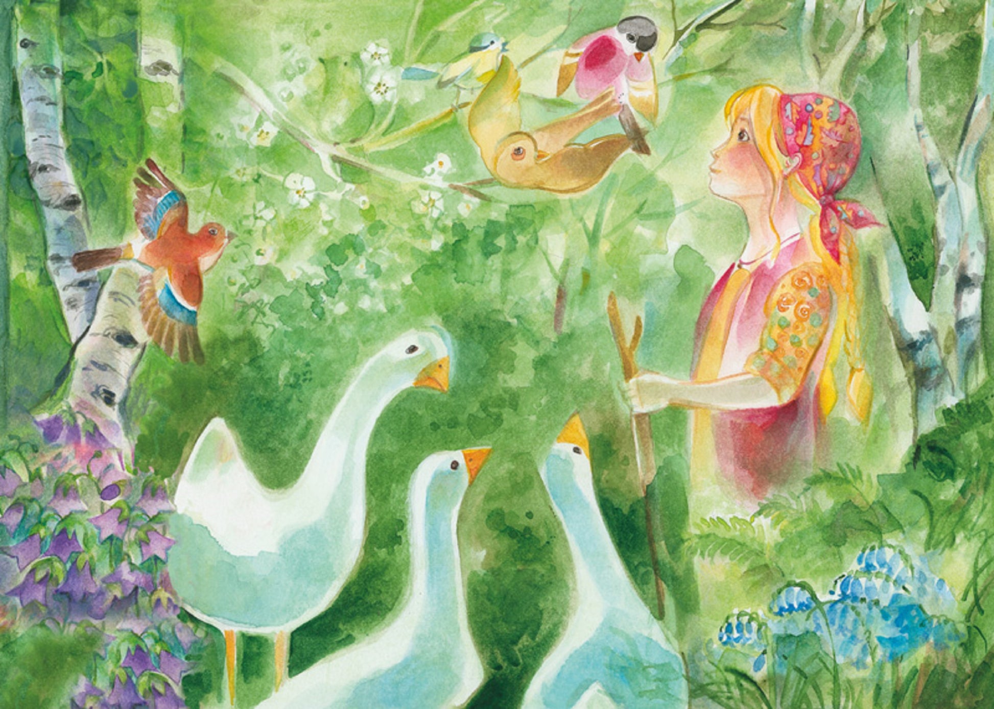 Postkarte Die Gaensemagd von Marie Laure Viriot: Grimm-Maerchenmotiv mit Gaensen und Voegeln im Birkenwald