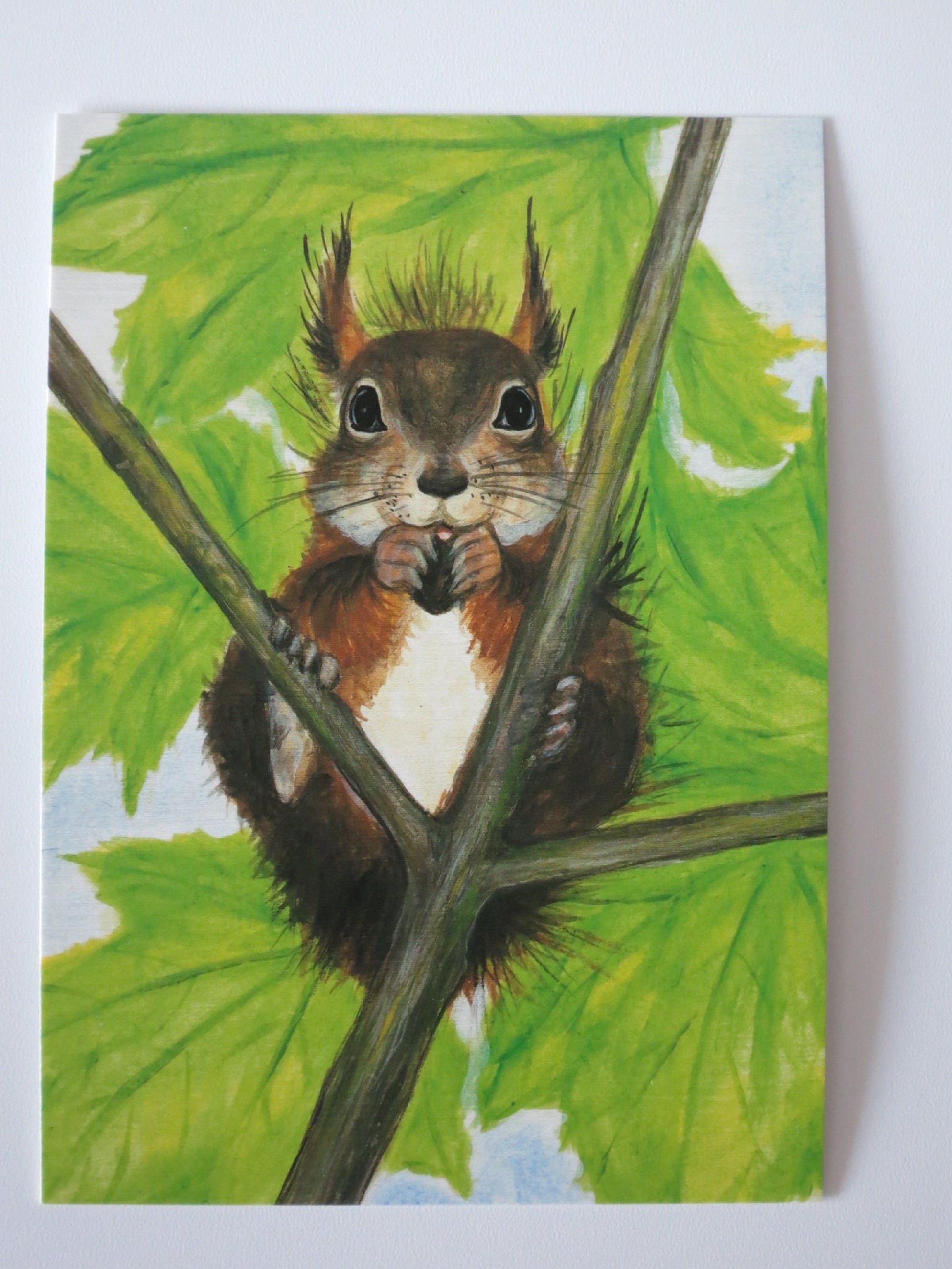 Eichhörnchen mit Ohrpinseln knabbert eine Nuss zwischen zwei Ästen – Postkarte von Heike Stinner