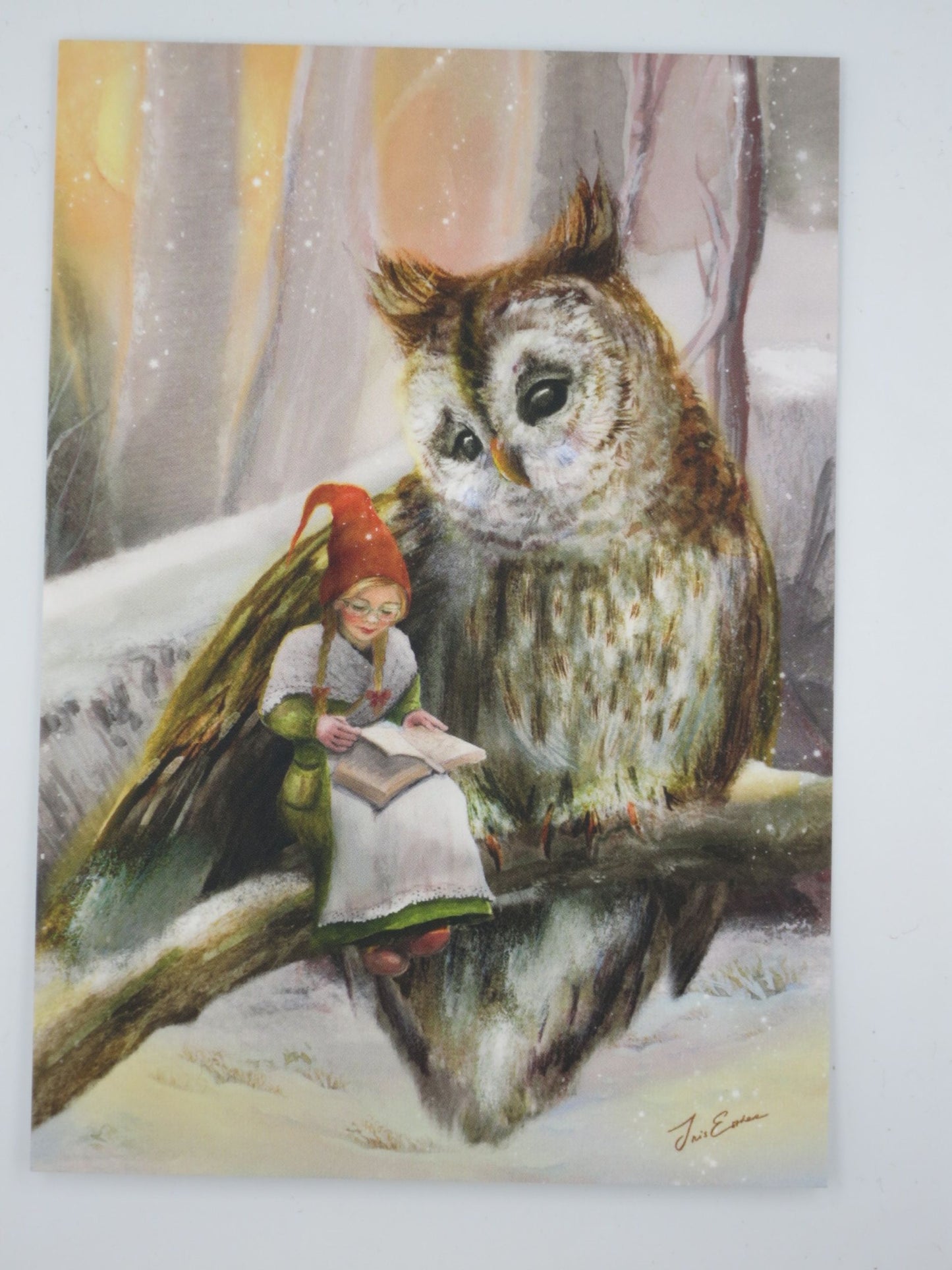 Winter Postkarte Ein Wintermaerchen PKWI322: Wichtelmaedchen mit Buch und Eule
Zeichnung von Iris Esther