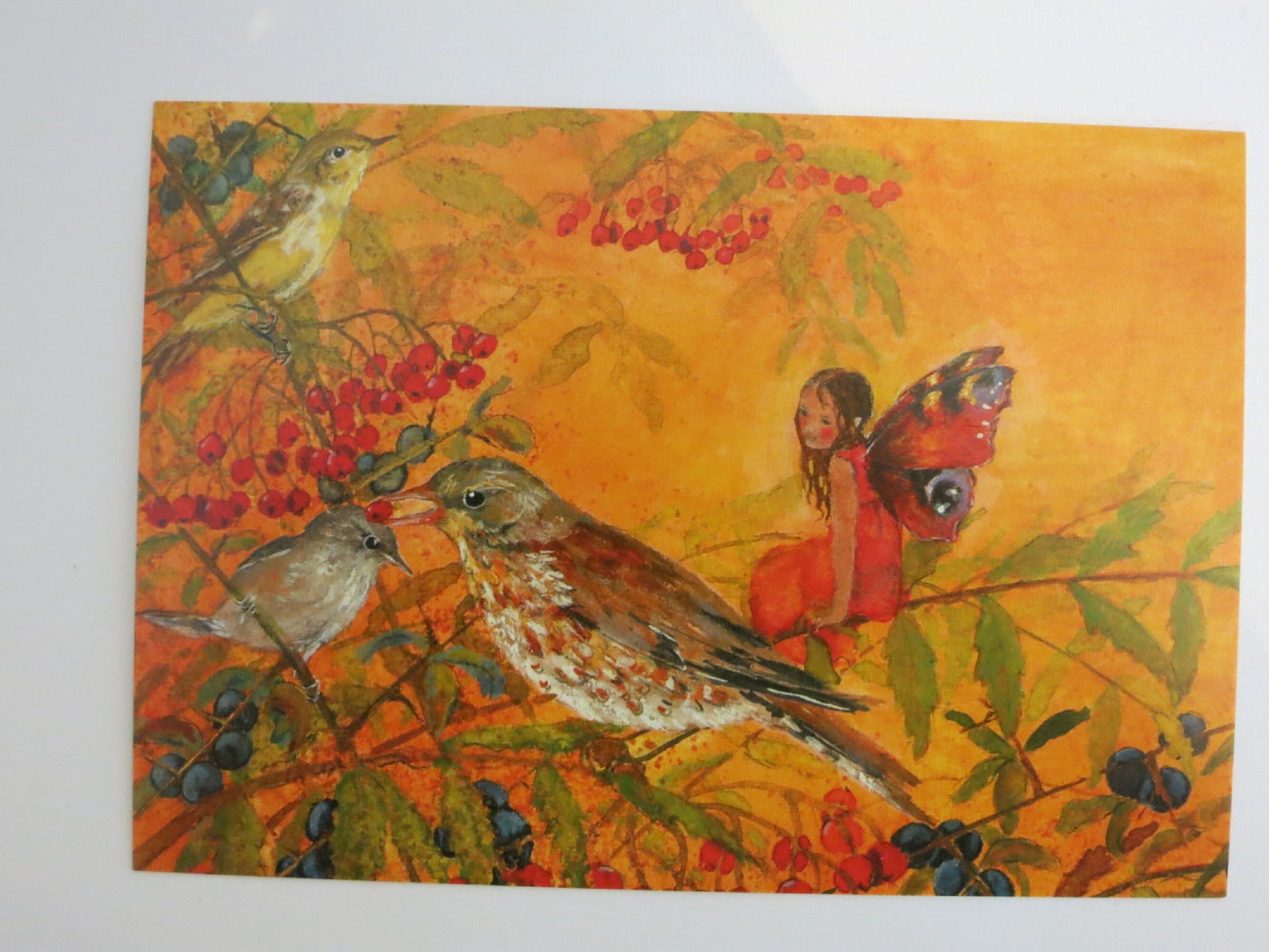 Elfe mit Tagpfauenauge-Fluegeln neben Singdrossel zwischen Vogelbeeren – Postkarte Elfe mit Vogel von Daniela Drescher