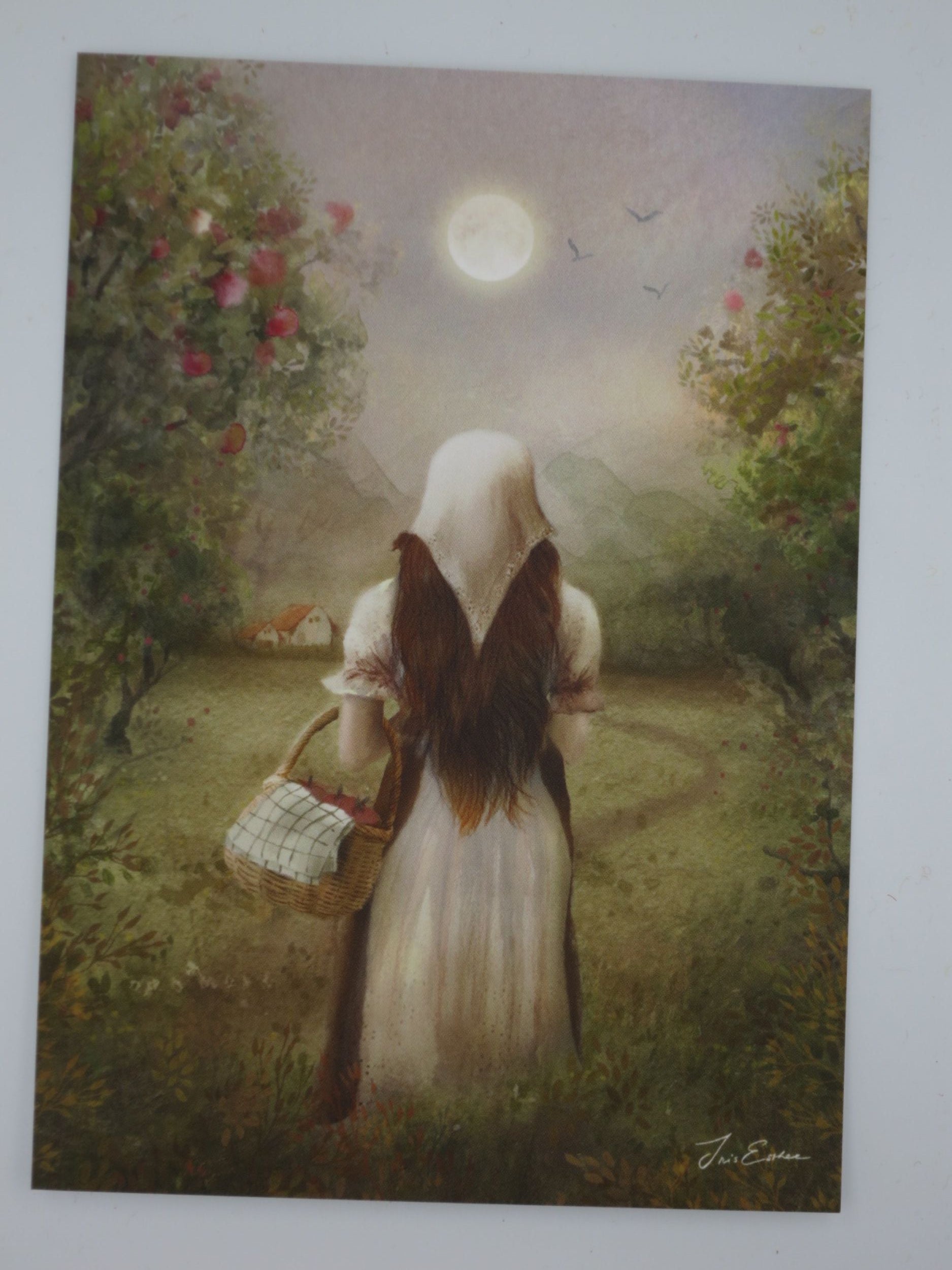 Herbst Postkarte Erntemond PKHE251 : Junge Frau bei Apfelernte mit Vollmond 
Zeichnung von Iris Esther