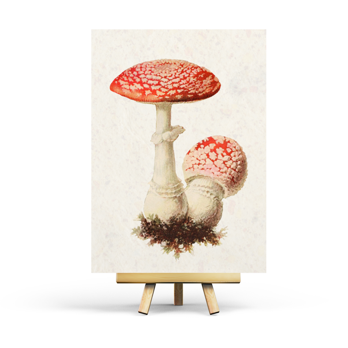 Postkarte Fliegenpilz, zwei Pilze auf Moos, von Penpaling_Paula