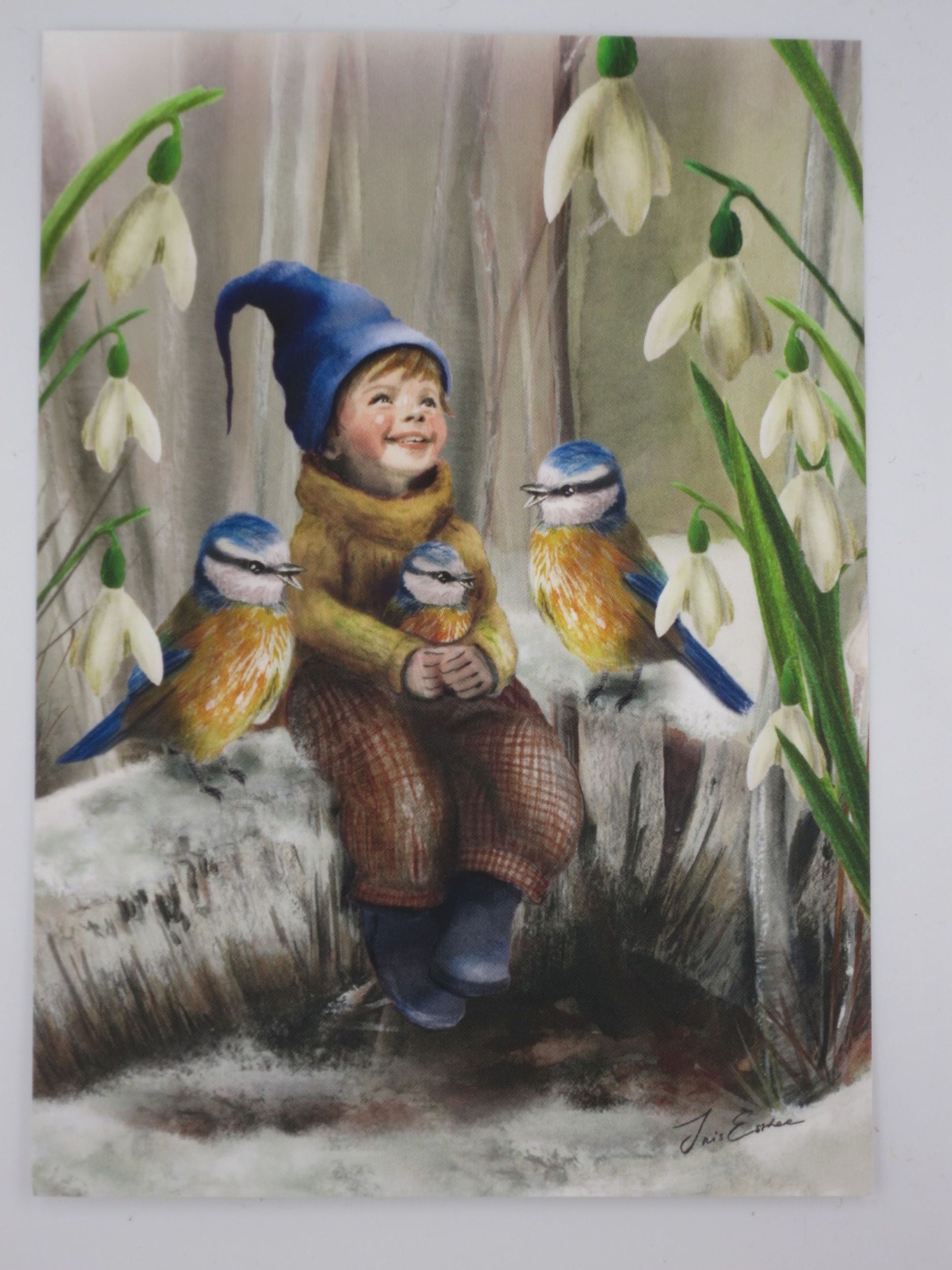 Winter Postkarte Fruehlings Ankunft PKWI321: Wichteljunge mit Blaumeisen und Schneegloeckchen.
Zeichnung von Iris Esther