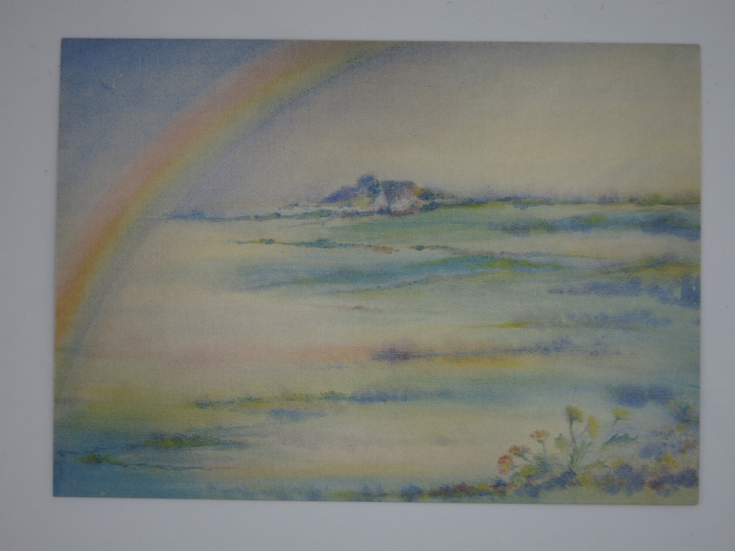 Waldorf Postkarte Das Gaensebluemchen und der Regenbogen von Ursula Reich: Regenbogen ueber nebliger Wiesenlandschaft