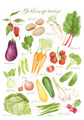 Postkarte Gartengemüse: botanische Bestimmungstafel mit Paprika, Möhren, Mangold und weiteren Gemüsesorten, Aquarell von Dörthe Brandt
