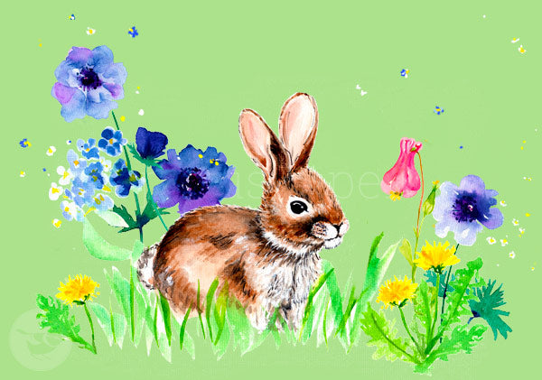 Postkarte Haeschen von Bettina Beuttenmueller: Hase zwischen Anemonen und Loewenzahn