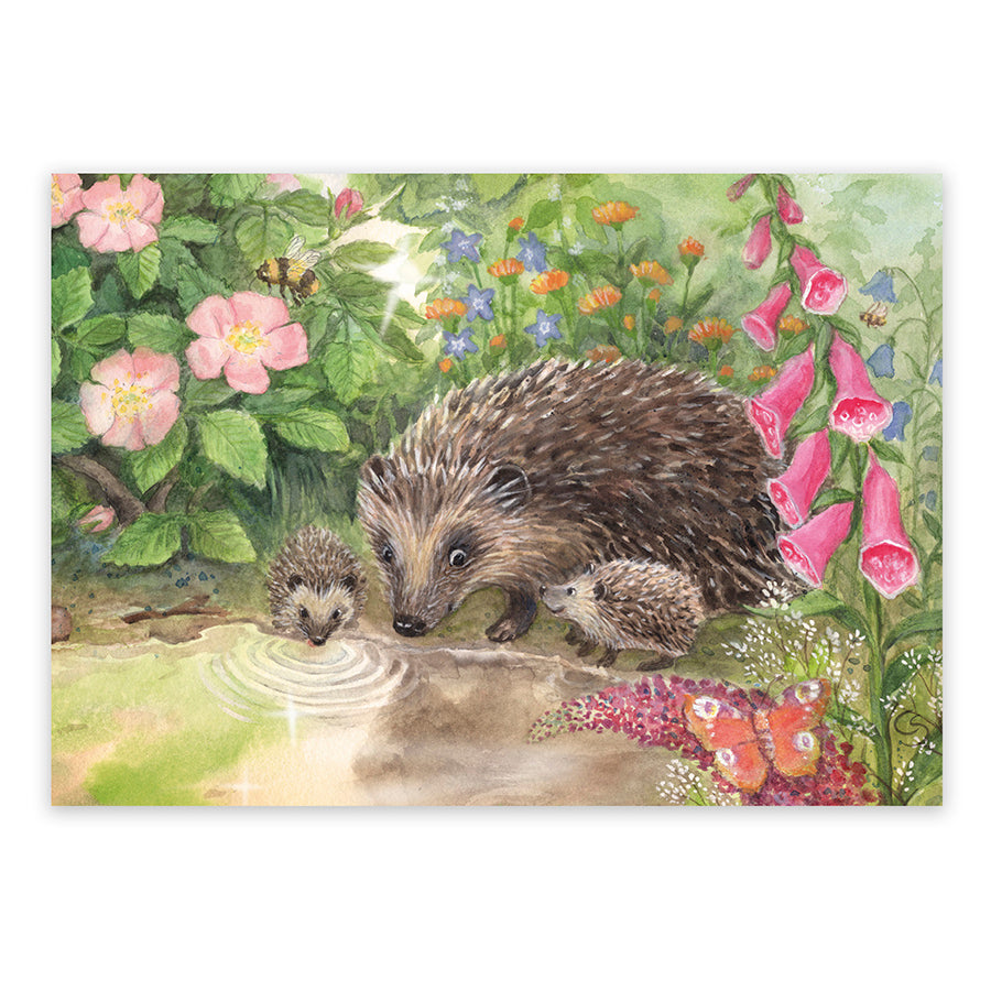 Postkarte Igel im Garten PKFR9: Igelmutter mit zwei Jungtieren am Gartenteich zwischen Hundsrosen und Fingerhut, Aquarell von Corinna Schwerdtfeger