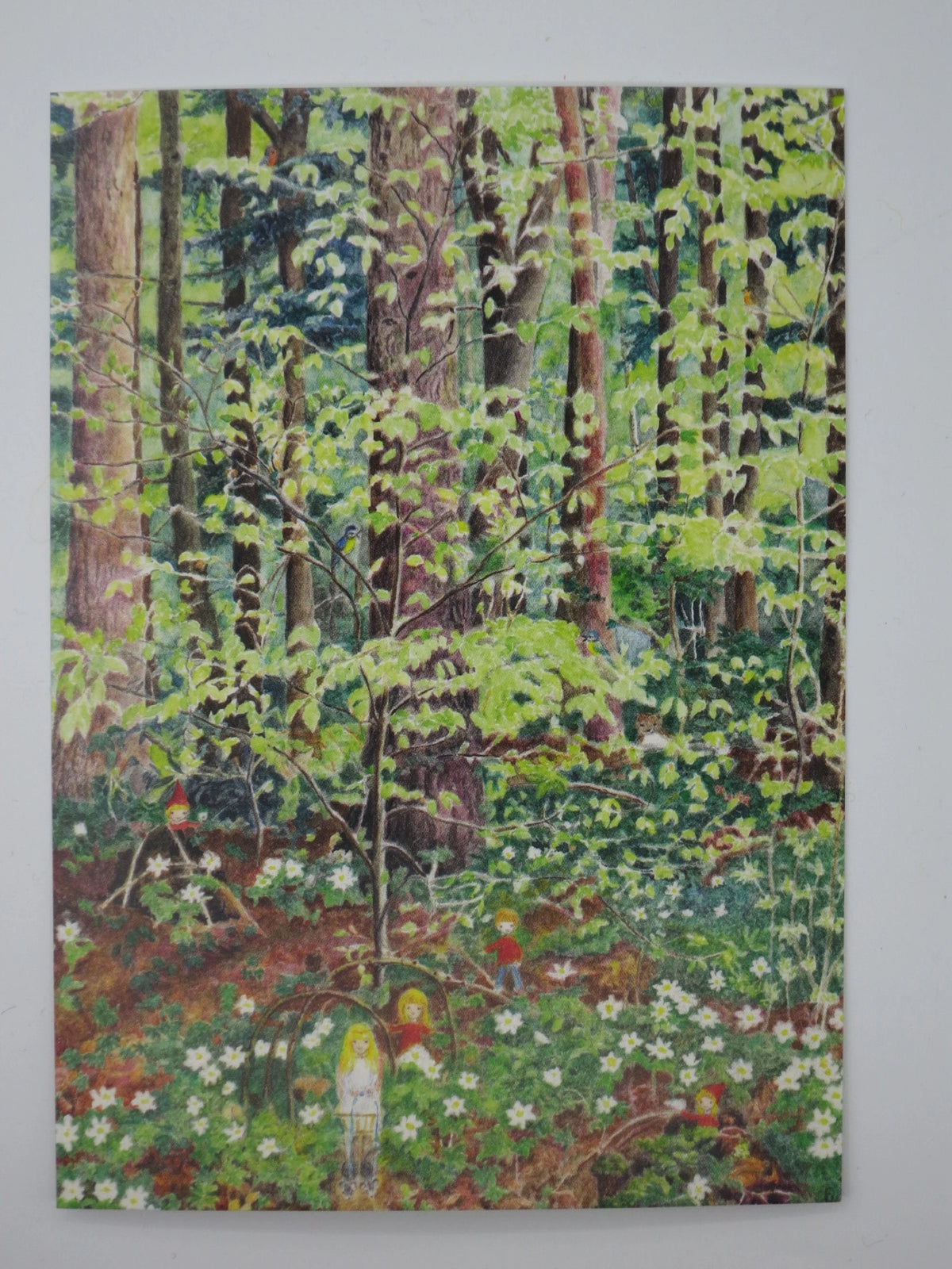 Postkarte Im Frühlingswald, Wichtel im Wald, illusteriert von Elisabeth Heuberger