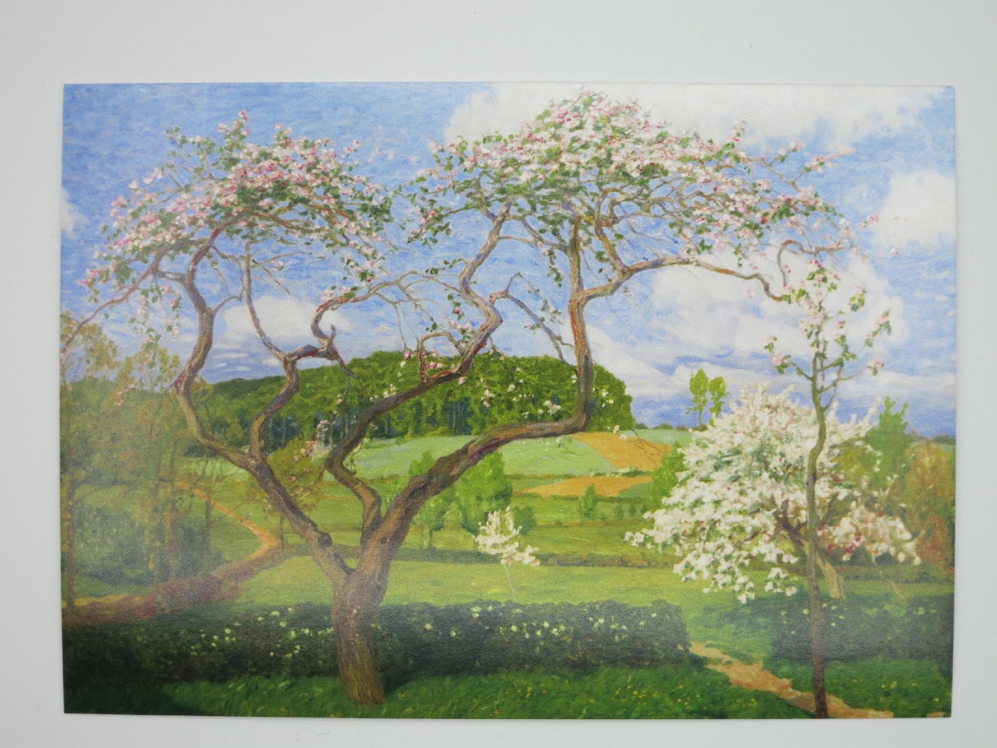 Postkarte Im Mai von Fritz Overbeck: bluehende Apfelbaeume, Worpsweder Malerkolonie