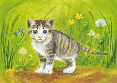 Postkarte Kätzchen: getigertes Katzenbaby zwischen Wiesenblumen mit Marienkäfer, Illustration von Heike Stinner