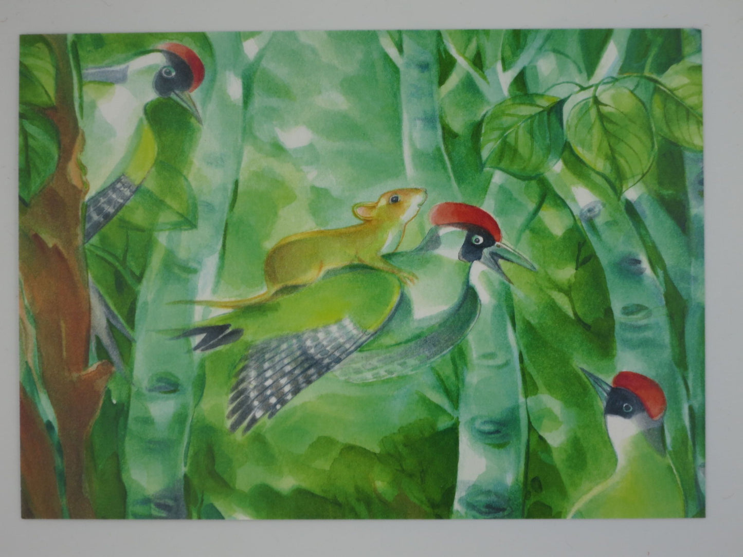 Sommer Postkarte Mik-Mik fliegt PKSO345: Maus Mik-Mik fliegt auf Vogel
Zeichnung von Marie-Laure Viriot