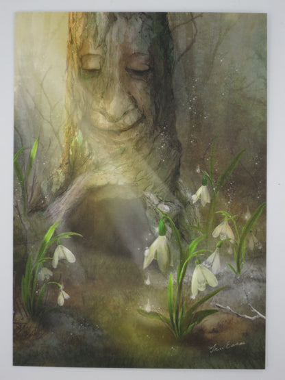 Winter Postkarte Schneegloeckchen PKWI325: Schneegloeckchen vor einem alten Baum im Wald
Zeichnung von Iris Esther