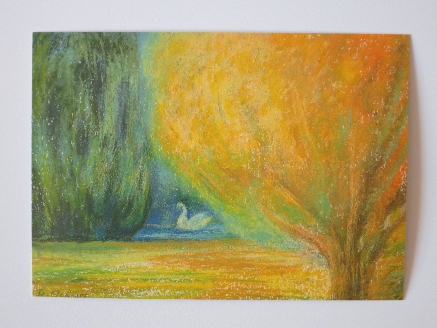 Weißer Höckerschwan auf einem See zwischen Herbstbäumen – Postkarte Schwan am See von Ruth Elsässer