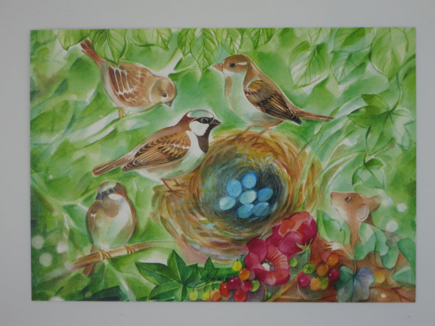Frühling Postkarte Sperlingsfamiie PKFR240: Sperlinge um ein Nest mit Eiern
Zeichnung von Marie-Laure Viriot