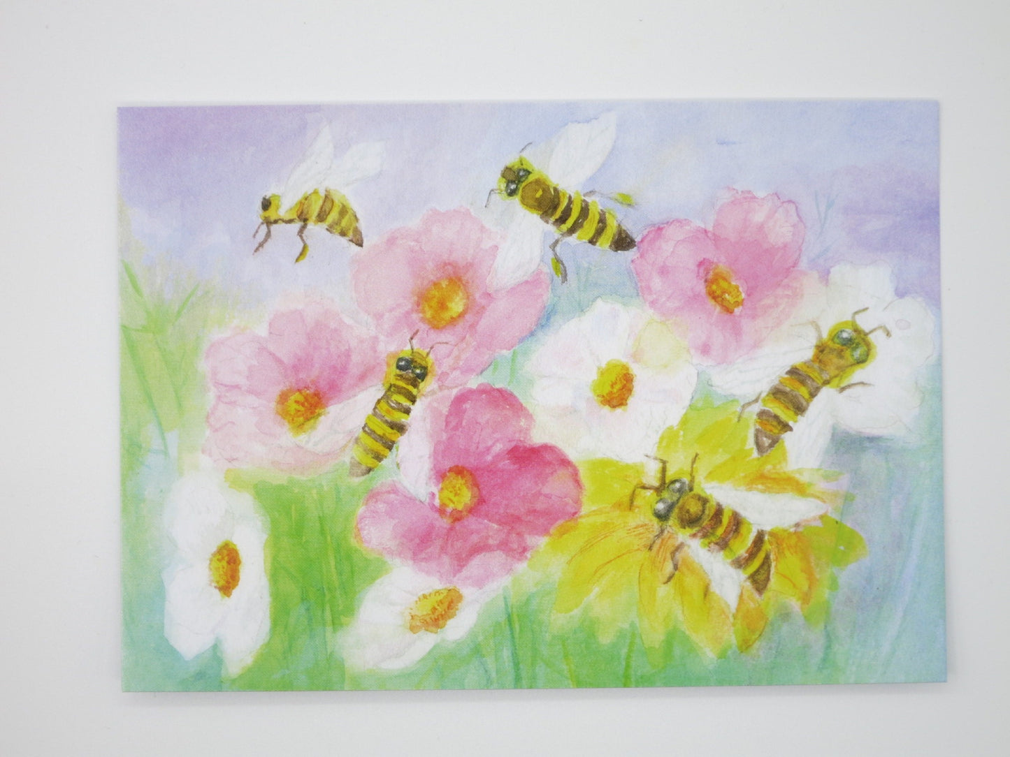 Waldorf Postkarte Summende Bienen von Dorothea Schmidt: Bienen zwischen Wiesenblumen