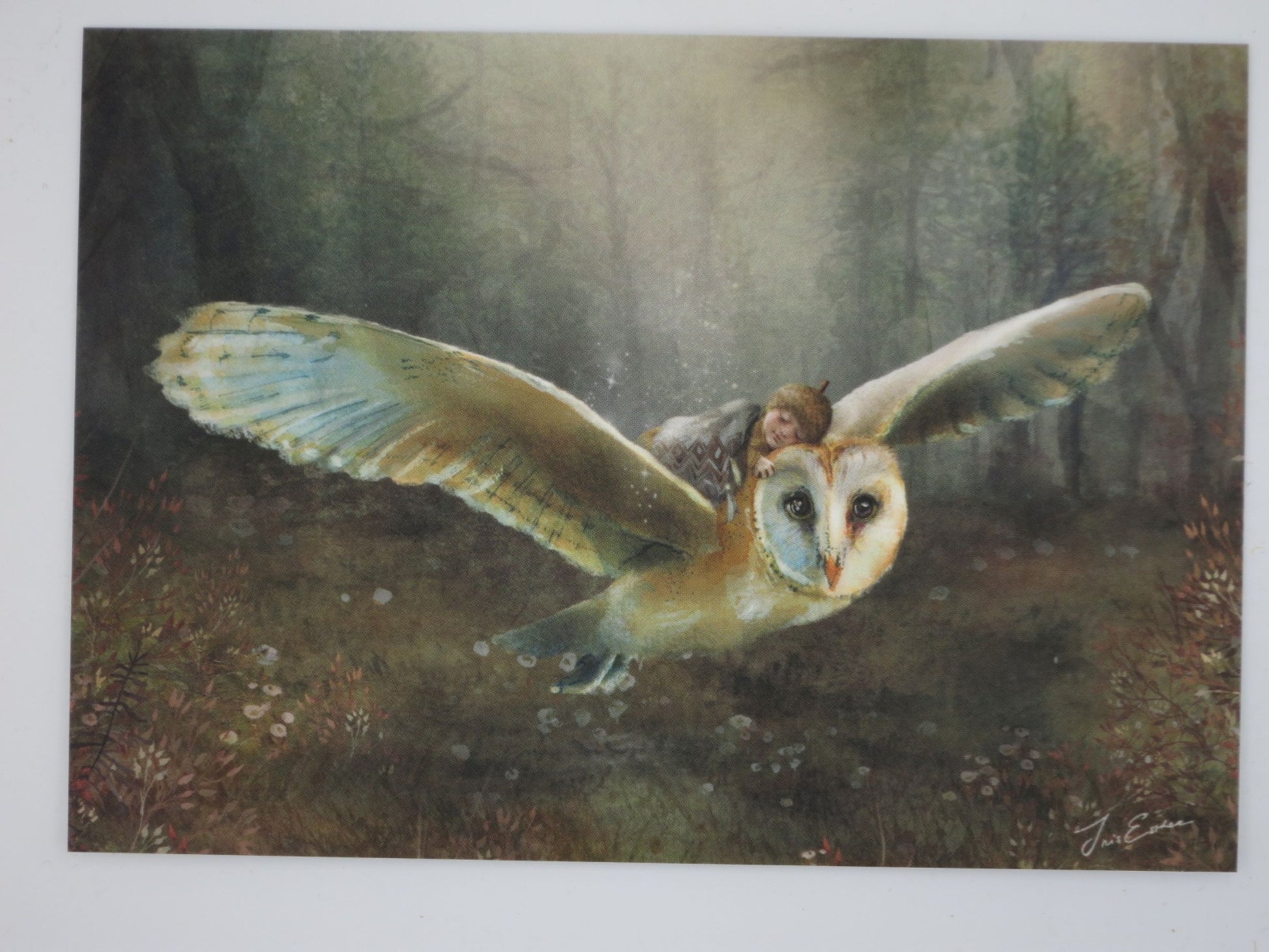 Herbst Postkarte Traumflug PKHE247: Eule mit schlafendem Kind im Herbstwald
Zeichnung von Iris Esther