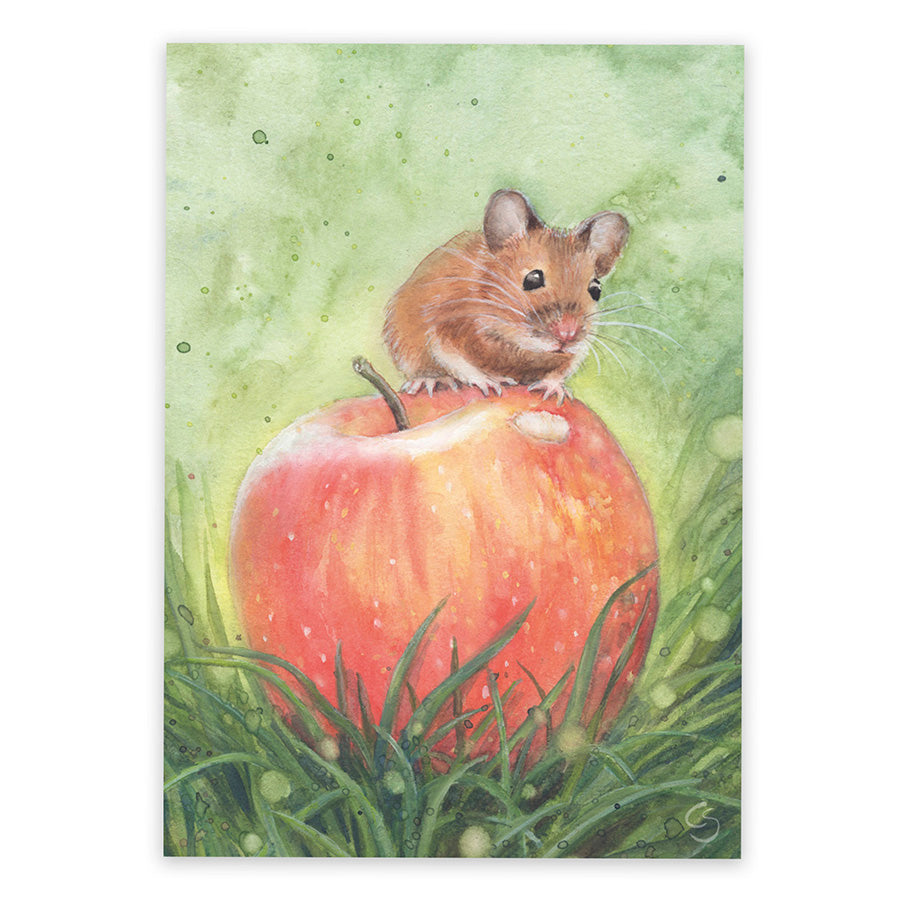Waldmaus mit großen Ohren sitzt auf einem roten Apfel – Postkarte Waldmaus mit Apfel von Corinna Schwerdtfeger