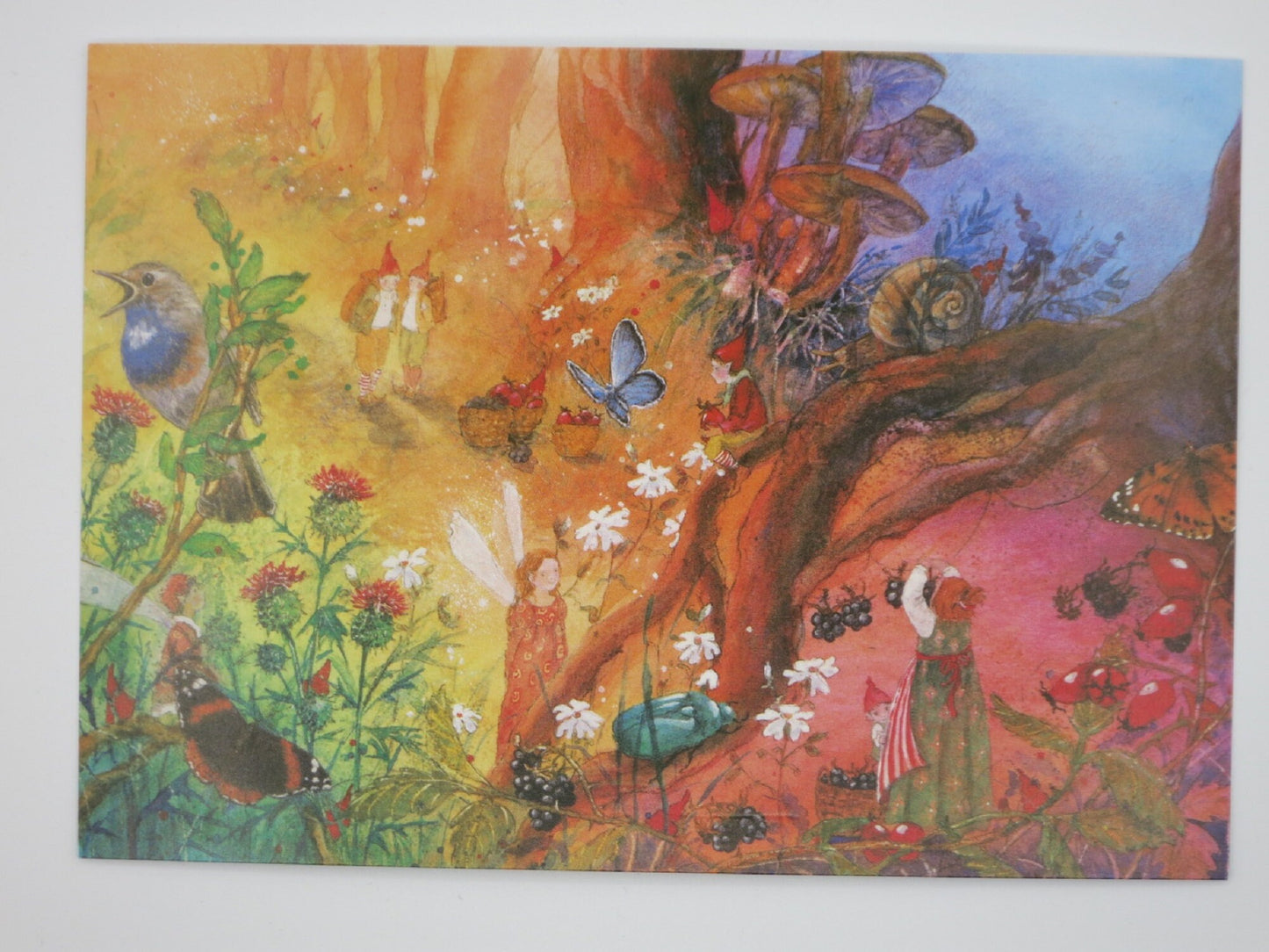 Zwerge, Fee und Admiral-Schmetterling in einer bunten Wurzelwelt – Postkarte Zwergenmützen von Daniela Drescher