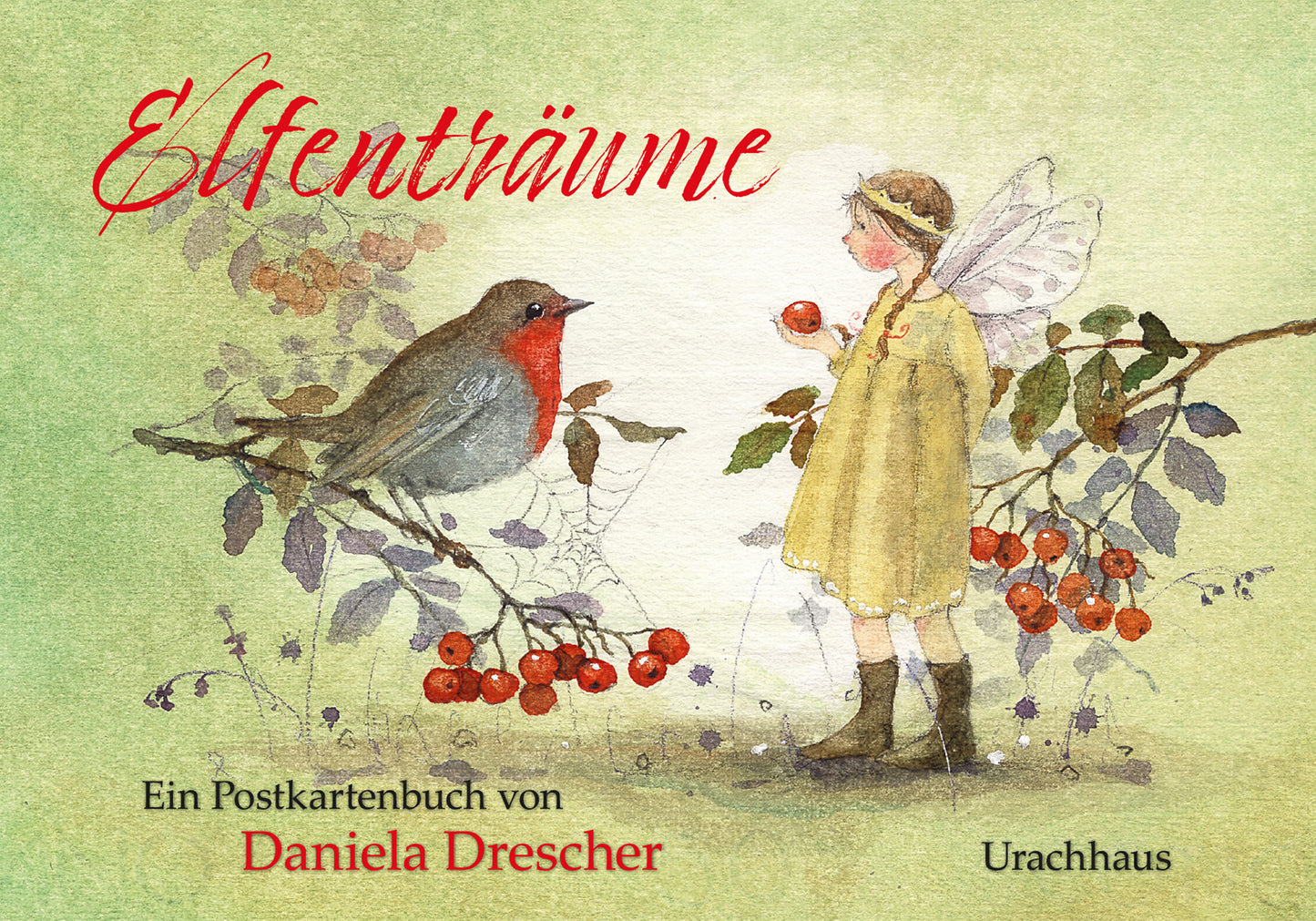 Postkartenbuch Elfentraeume Daniela Drescher - 15 Postkarten mit Elfen und Voegeln