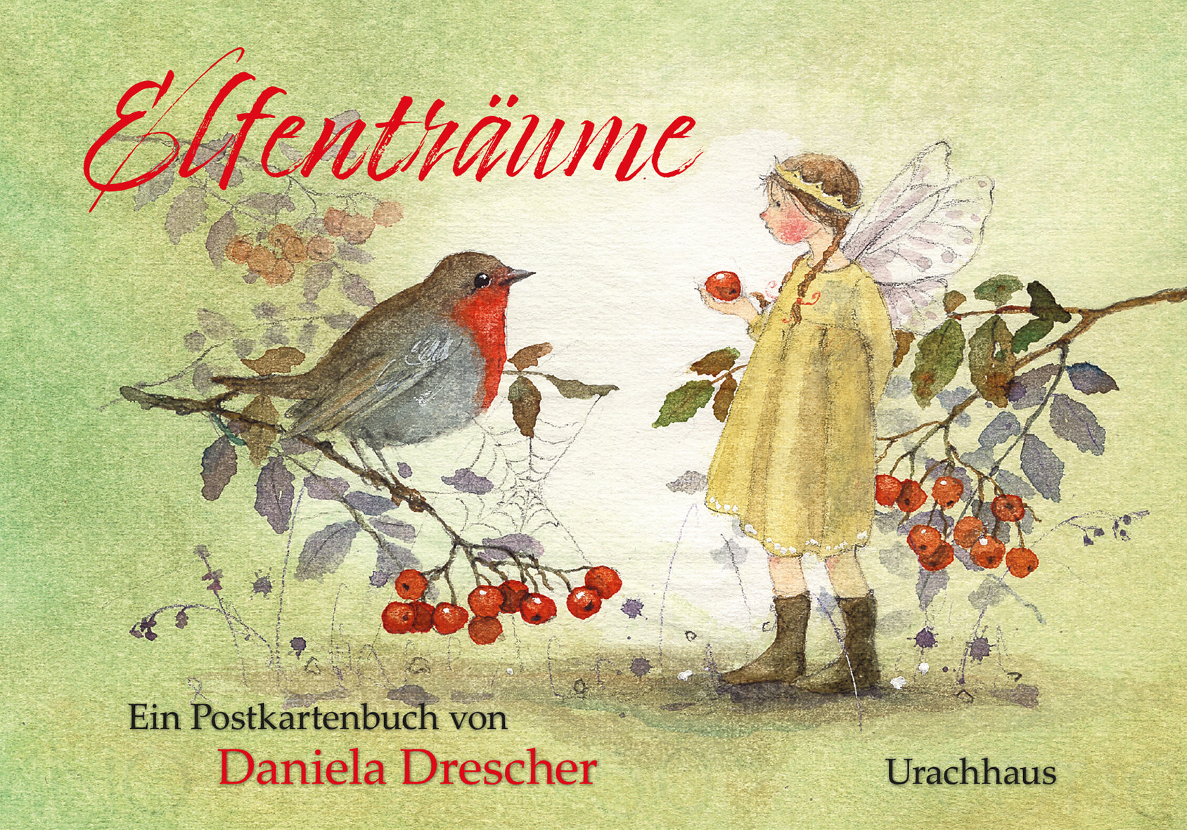 Postkartenbuch Elfentraeume Daniela Drescher - 15 Postkarten mit Elfen und Voegeln