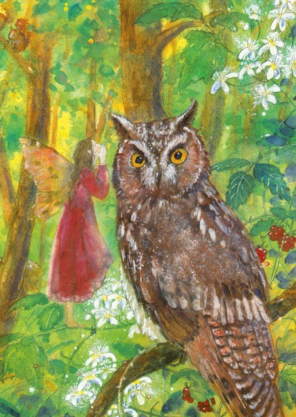 Postkarte Elfe und Eule, Waldszene, illustriert von Daniela Drescher