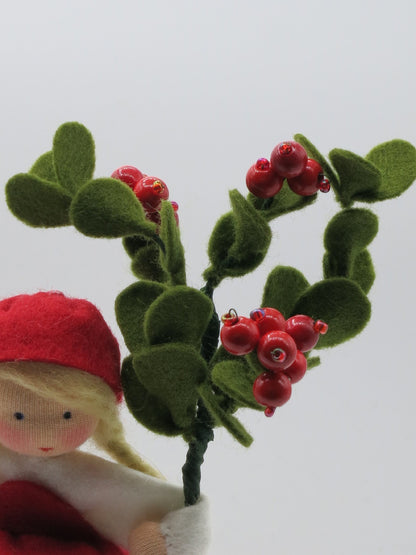 Detailaufnahme der Filzblätter und Perlenbeeren am Waldorf-Blumenkind Preiselbeere
