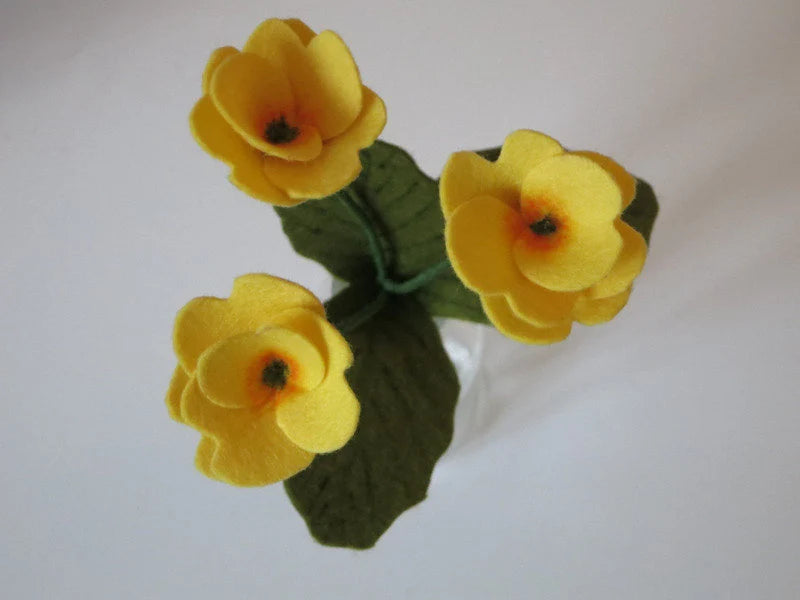 Detailaufnahme der gelben Filz-Primelblüten mit orangem Zentrum am Primelchen Blumenkind