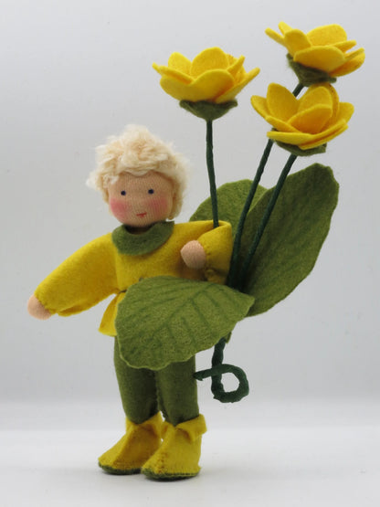 Detailaufnahme gelber Filz-Primelblüten mit orangem Zentrum am Primeljunge Blumenkind