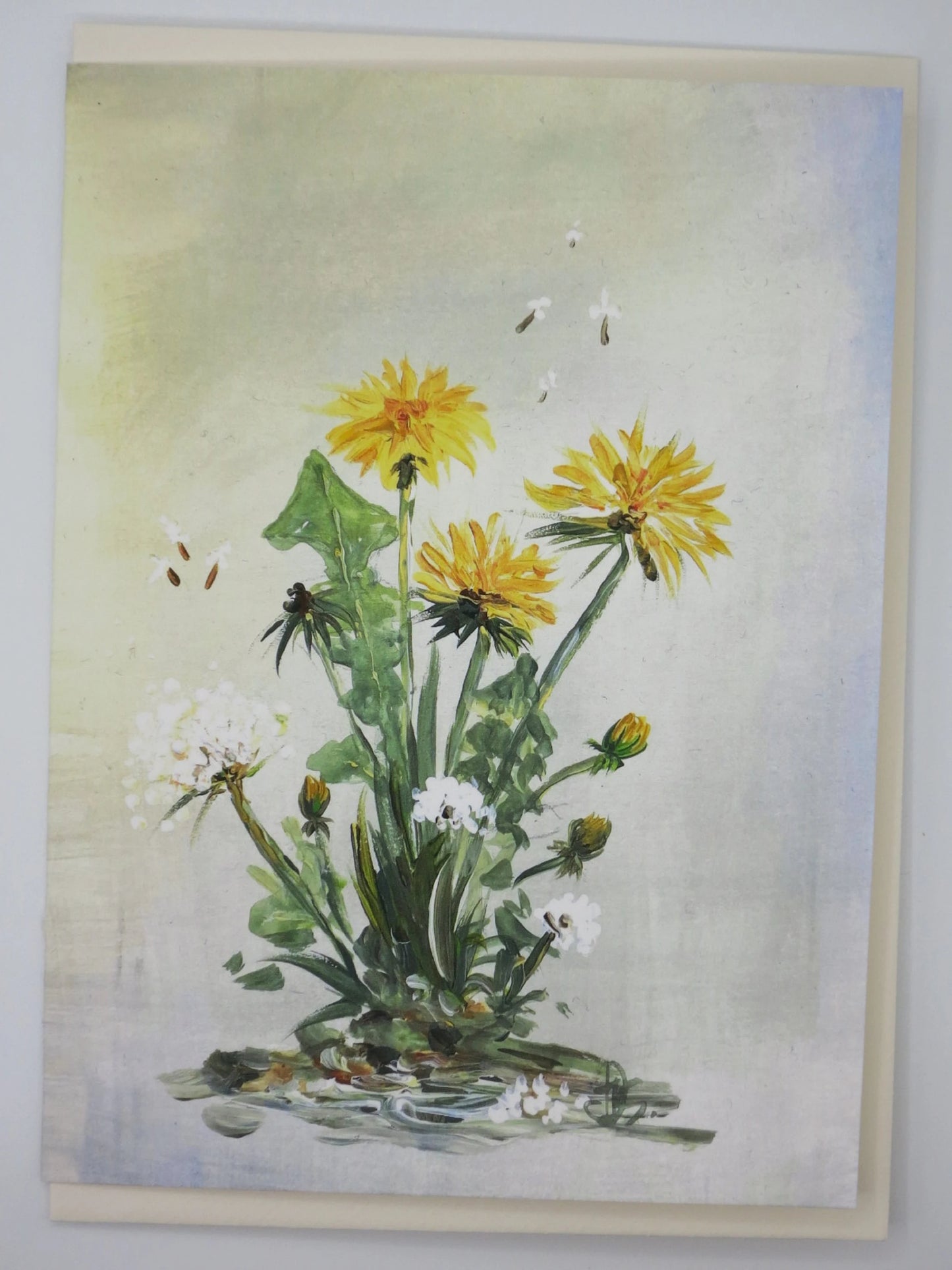 Doppelkarte Pusteblume mit Löwenzahn – PKGR90