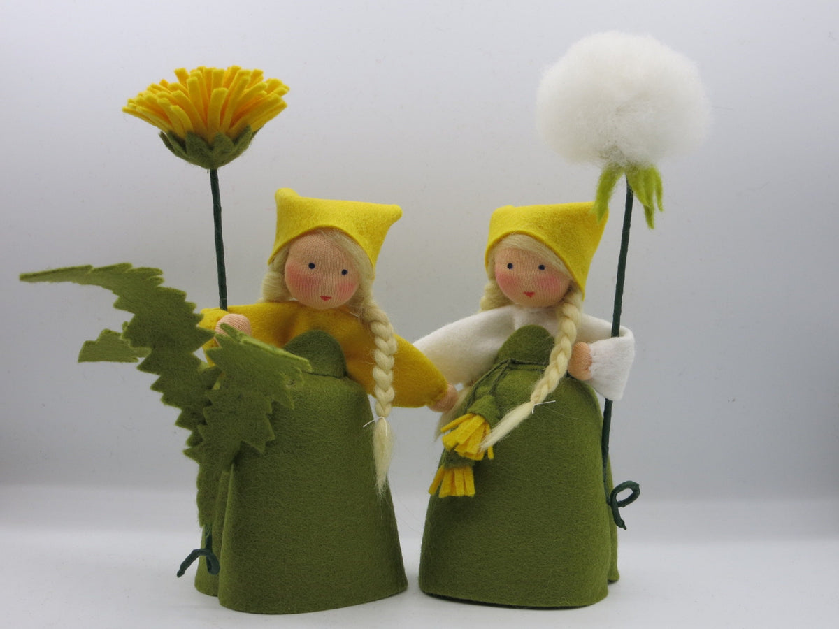 Pusteblume und Löwenzahn Waldorf-Blumenkinder im Vergleich, gelbe Blüte und weißer Samenstand