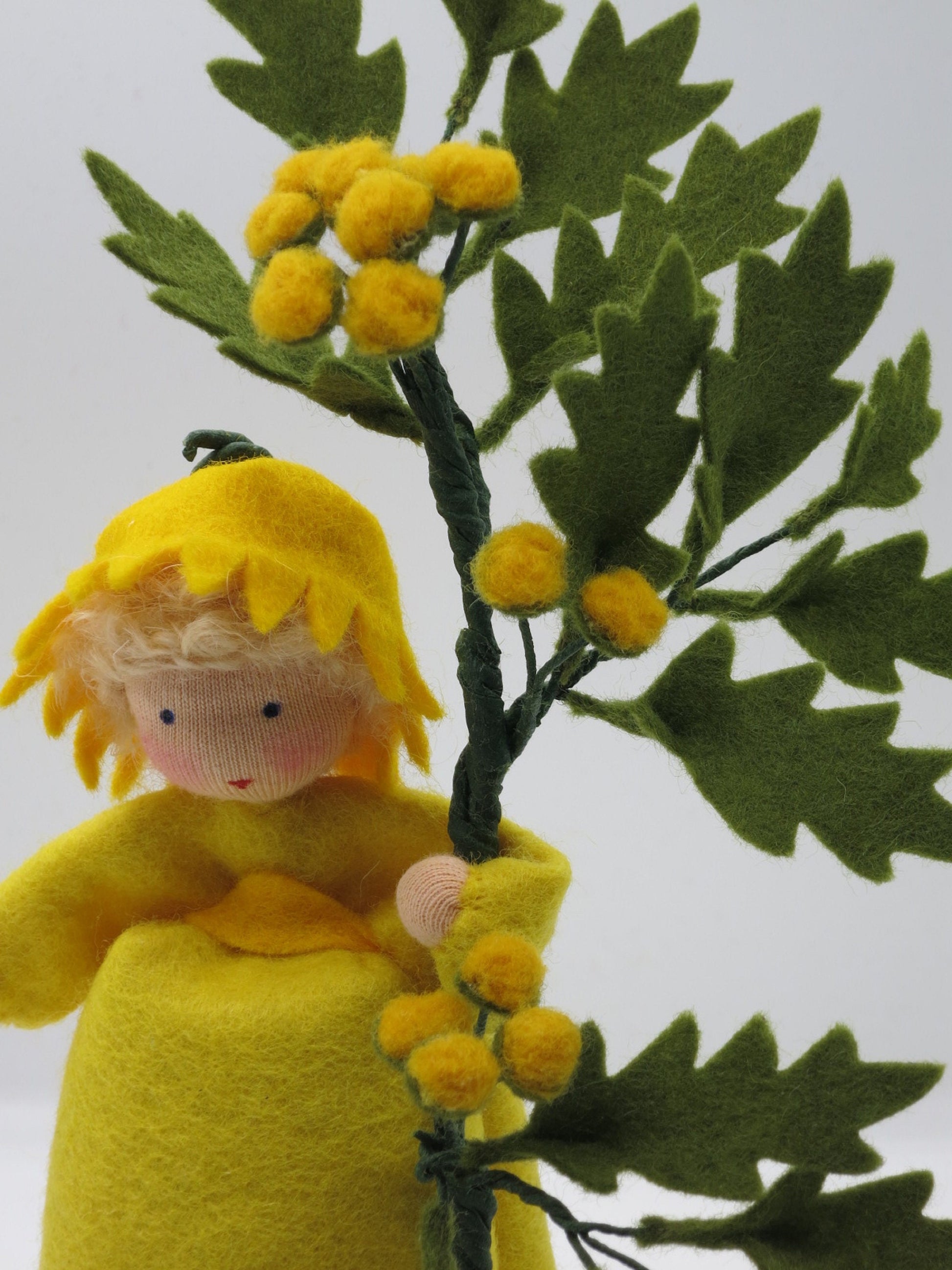 Detailaufnahme des Gesichts vom Rainfarn-Waldorf-Blumenkind