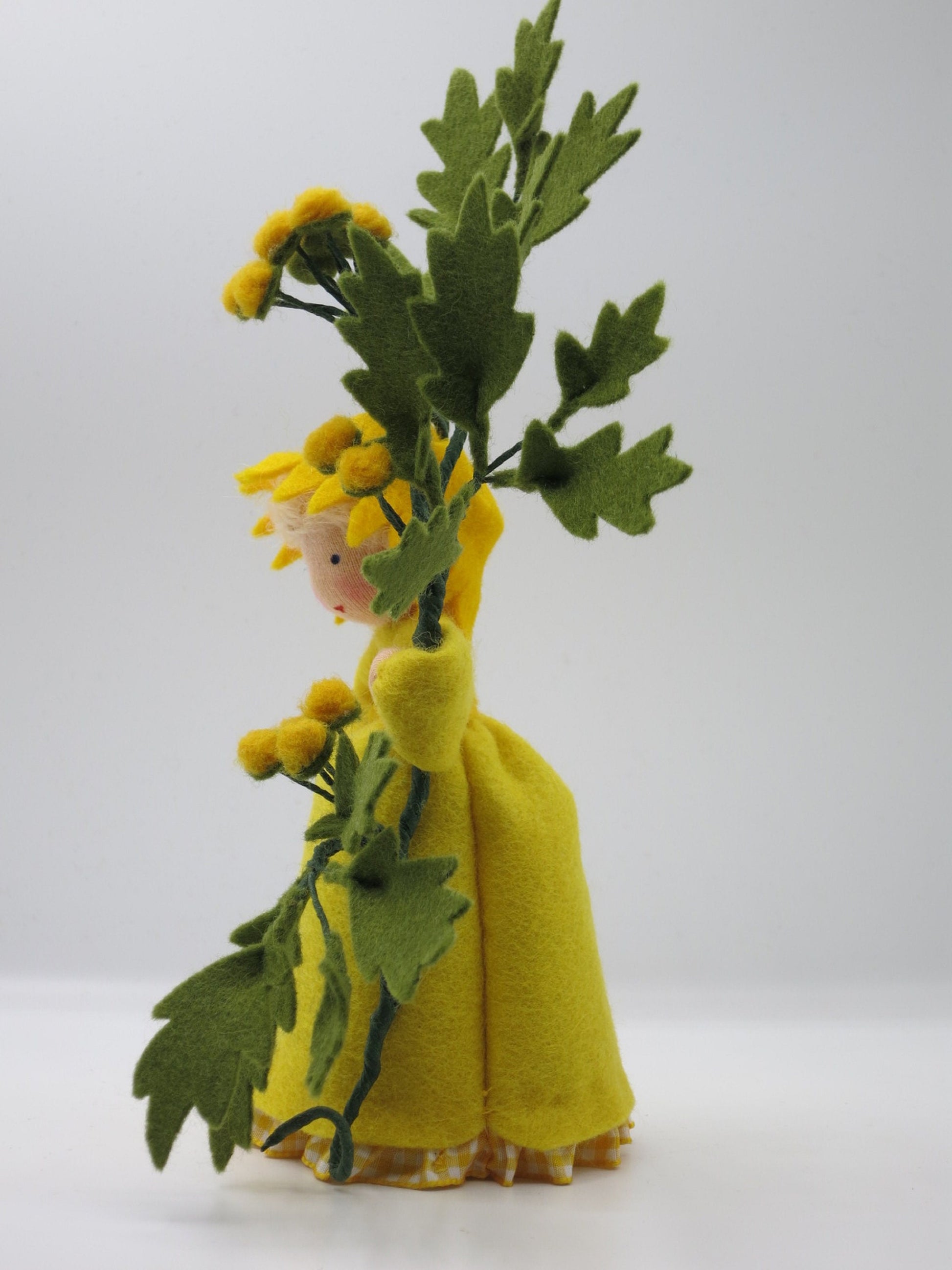 Seitenansicht des Rainfarn-Blumenkindes mit Blütendöldchen und gefiederten Blättern