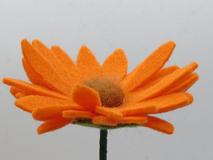 Frontale Nahaufnahme der Ringelblumen-Blüte mit braunem Kern und Knospe im Hintergrund.