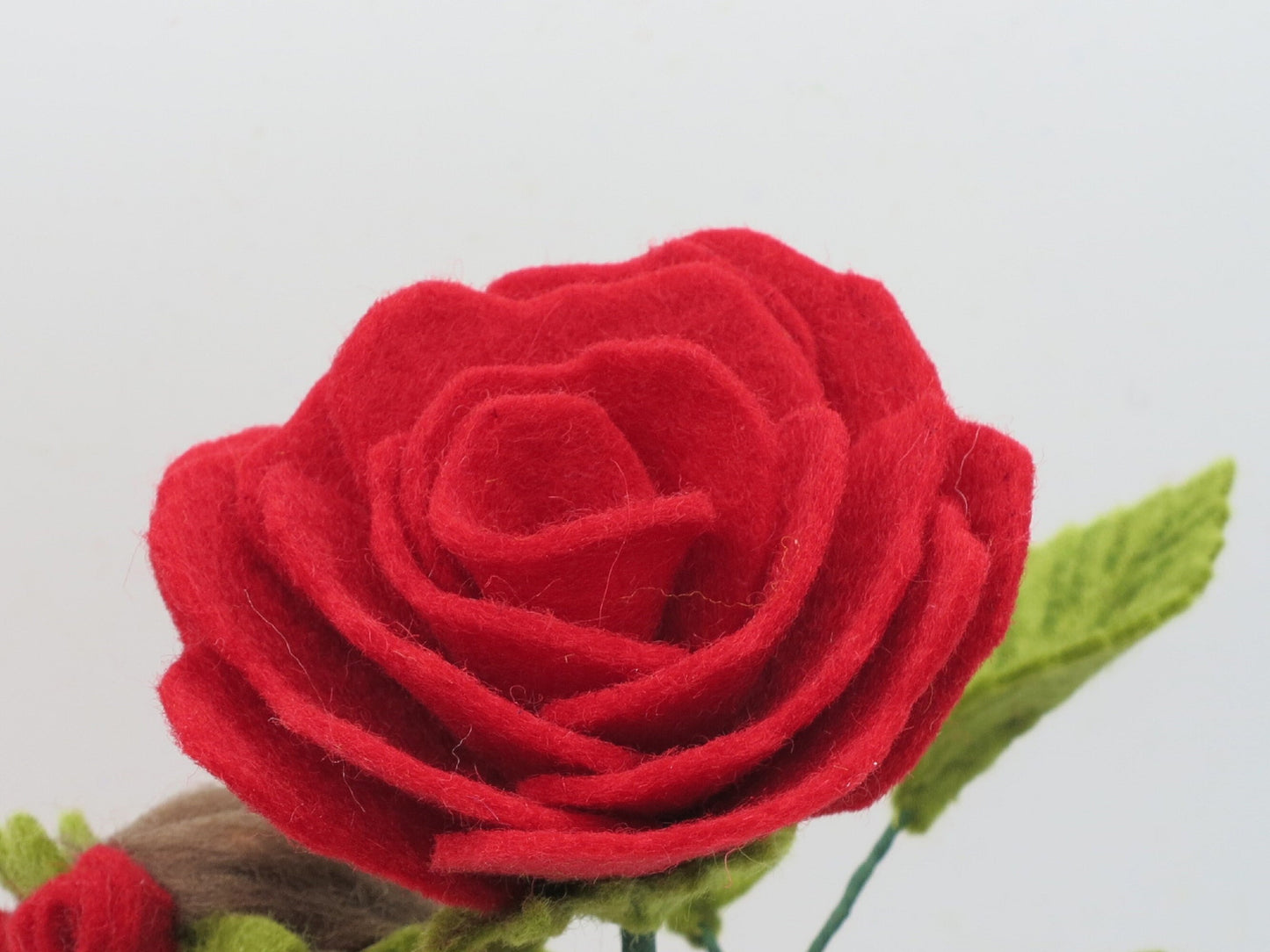 Nahaufnahme der roten Filzrose mit gewellten Blütenblättern am Waldorf-Blumenkind