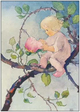 Postkarte Rosenmaerchen – Kind haelt Rosenbluete im Astgeflecht, Aquarell von Mili Weber