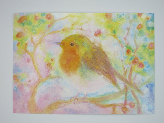Rotkehlchen - Postkarte Art.PKFR81