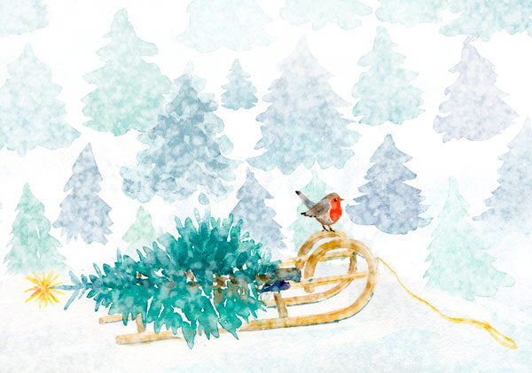 Rotkehlchen besucht Tannenbäumchen Weihnachtspostkarte – Vogel auf Schlitten mit Christbaum, Bettina Beuttenmüller, Jahreszeitentisch