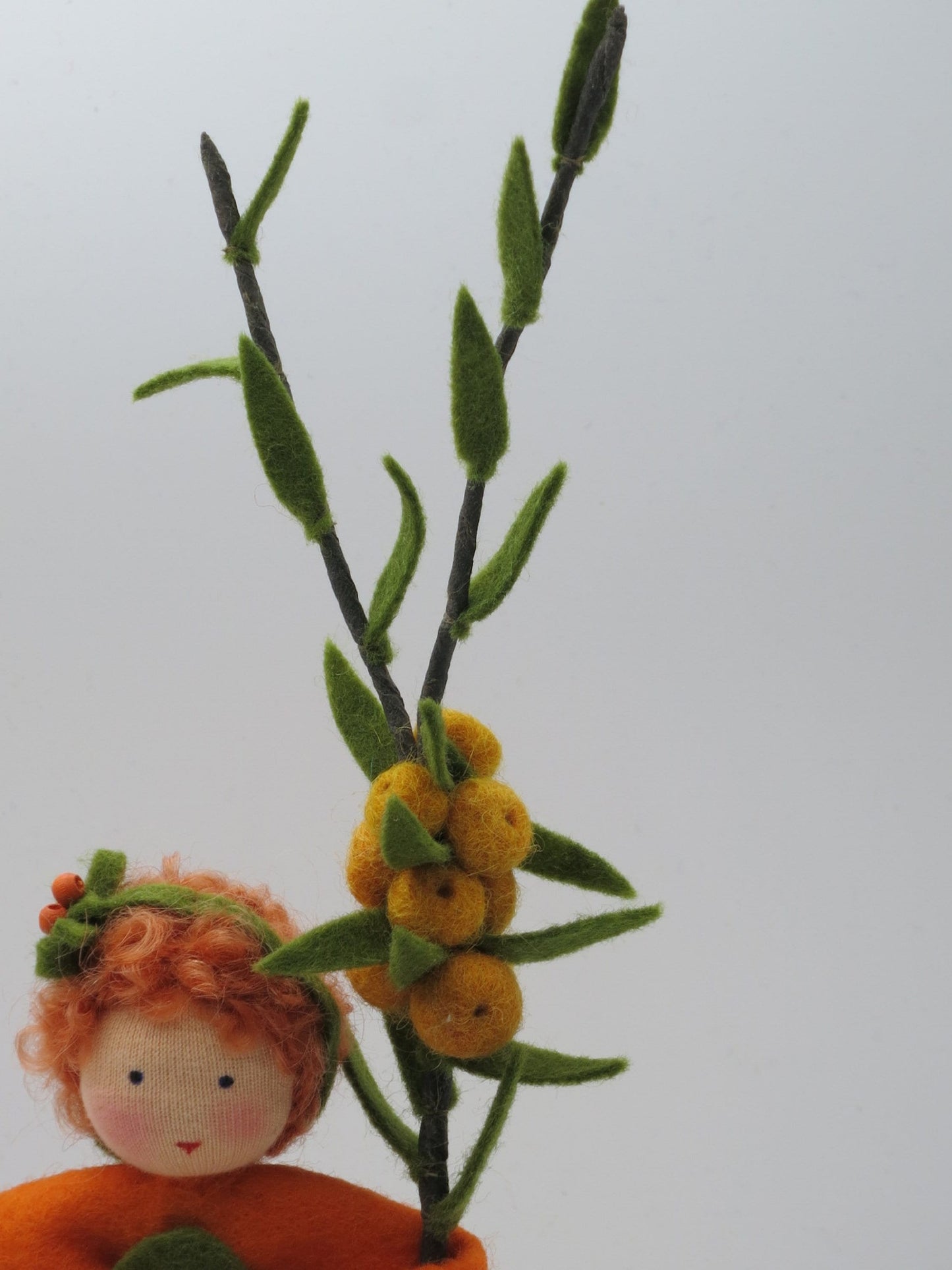 Orangefarbene Filz-Sanddornbeeren am Zweig in Nahaufnahme, Herbst-Blumenkind, Art. HE9