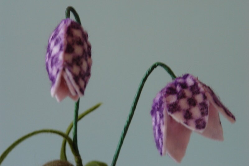 Zwei Schachbrettblumen-Blüten aus Wollfilz mit violett-rosa Karomuster, Detailaufnahme.
