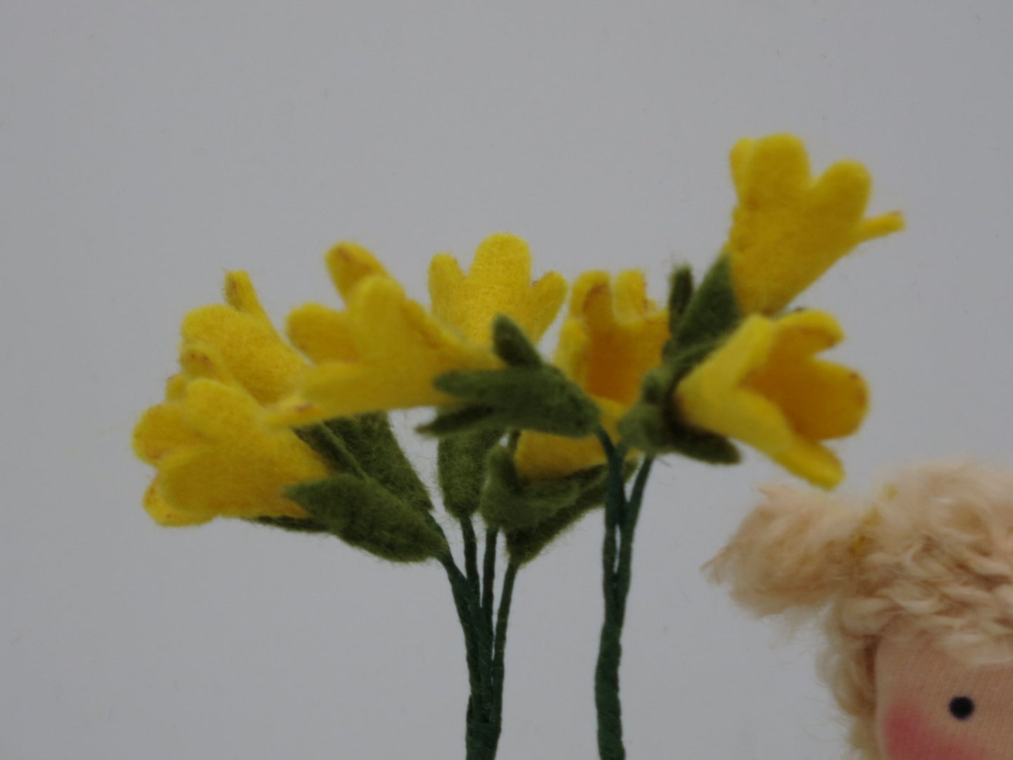 Nahaufnahme der gelben Filz-Blütendolde am Schlüsselblumen Blumenkind