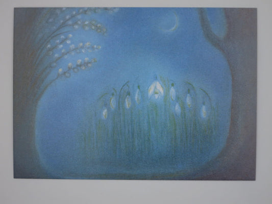 Schneeglöckchen - Postkarte - Waldorf Art.Nr PKWI239
