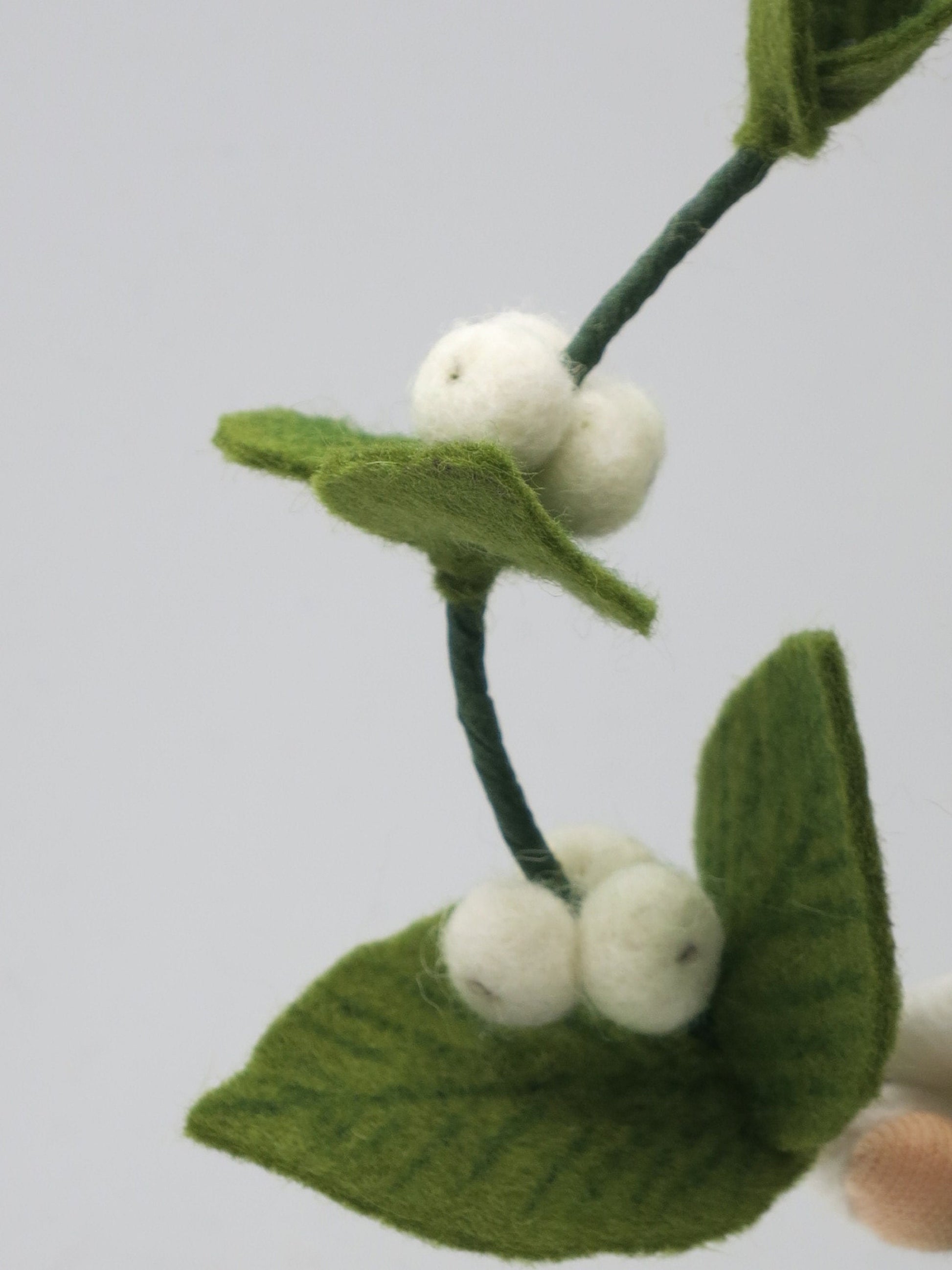 Detailaufnahme der weißen Filzbeeren und grünen Blätter am Zweig der Schneebeere Art. HE57.