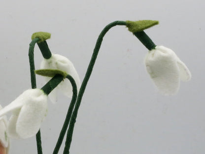 Detailansicht der weißen glöckchenförmigen Schneeglöckchen-Blüten mit grünen Stielen – Art. WI22