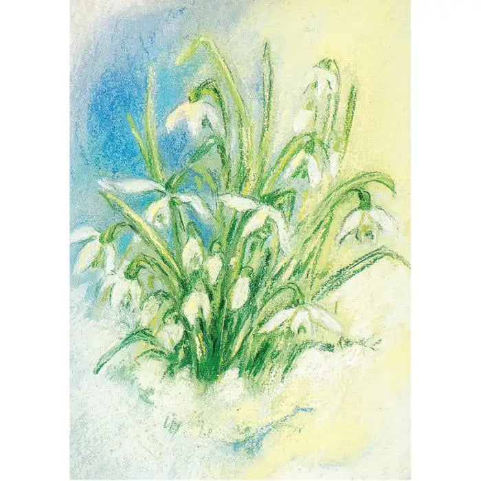 Kunstpostkarte Schneeglöckchen von Marjan van Zeyl – erste Frühlingsblüher, PKWI49