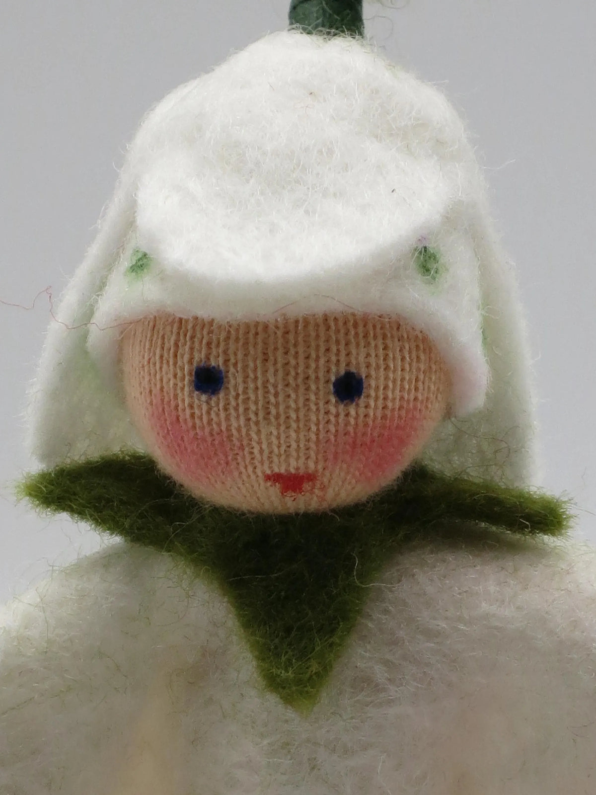 Nahaufnahme des Schneeglöckchen-Stecker-Gesichts mit weißer Blütenhaube und grünem Kragen
