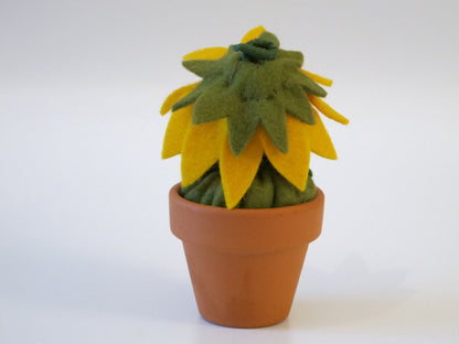 Rückansicht der Sonnenblume im Topf mit grünem Kelchblatt-Kragen
